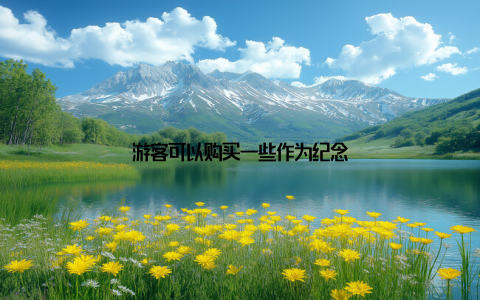 游客可以购买一些作为纪念