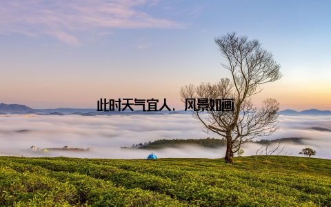 此时天气宜人, 风景如画