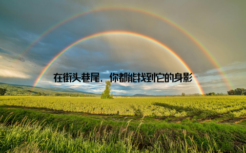 在街头巷尾, 你都能找到它的身影