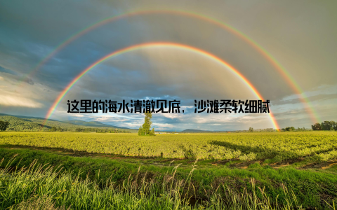 这里的海水清澈见底, 沙滩柔软细腻