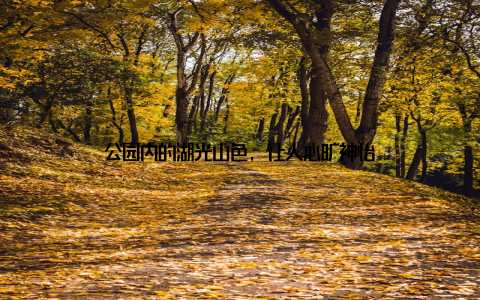 公园内的湖光山色, 让人心旷神怡