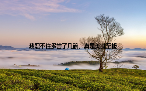 我忍不住多尝了几碗, 真是美味至极