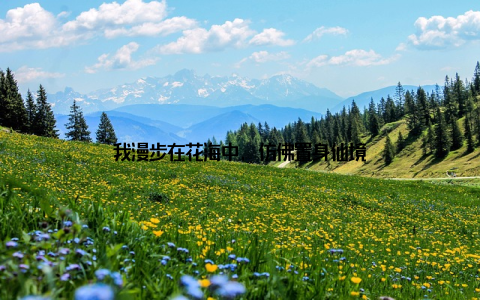 我漫步在花海中, 仿佛置身仙境