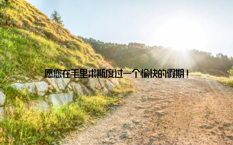 愿您在毛里求斯度过一个愉快的假期!