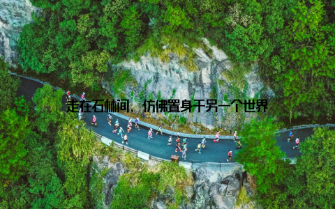 走在石林间, 仿佛置身于另一个世界