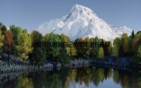 游客可以根据自己的需求进行选择