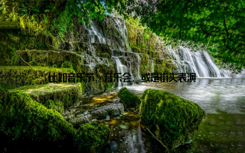 比如音乐节、音乐会, 或是街头表演