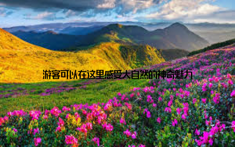 游客可以在这里感受大自然的神奇魅力