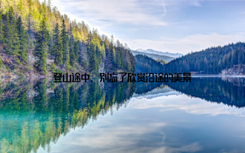 登山途中, 别忘了欣赏沿途的美景