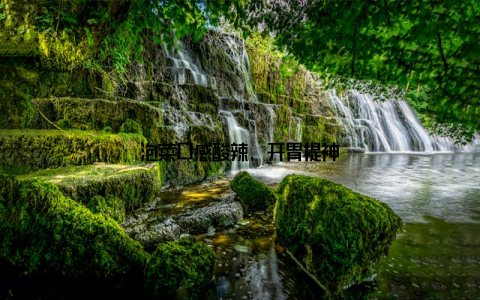 泡菜口感酸辣, 开胃提神