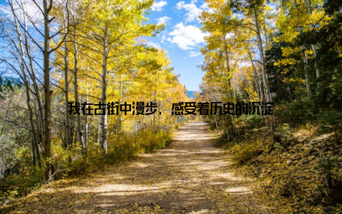 我在古街中漫步, 感受着历史的沉淀