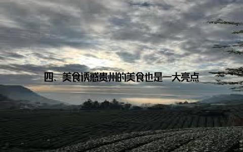 四、美食诱惑贵州的美食也是一大亮点