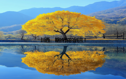 川西, 期待你的到来!