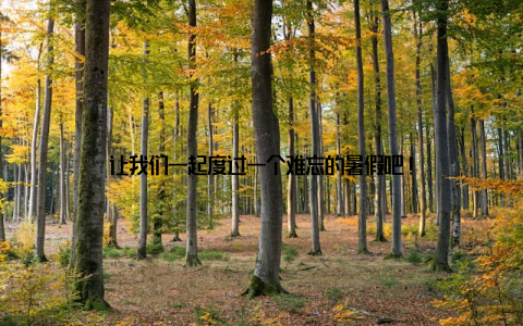 让我们一起度过一个难忘的暑假吧!