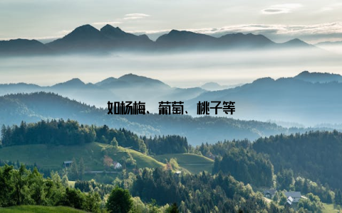 如杨梅、葡萄、桃子等