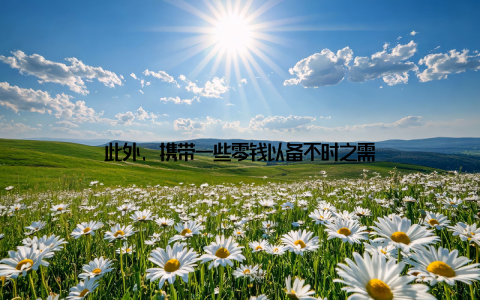 此外, 携带一些零钱以备不时之需