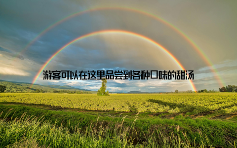 游客可以在这里品尝到各种口味的甜汤